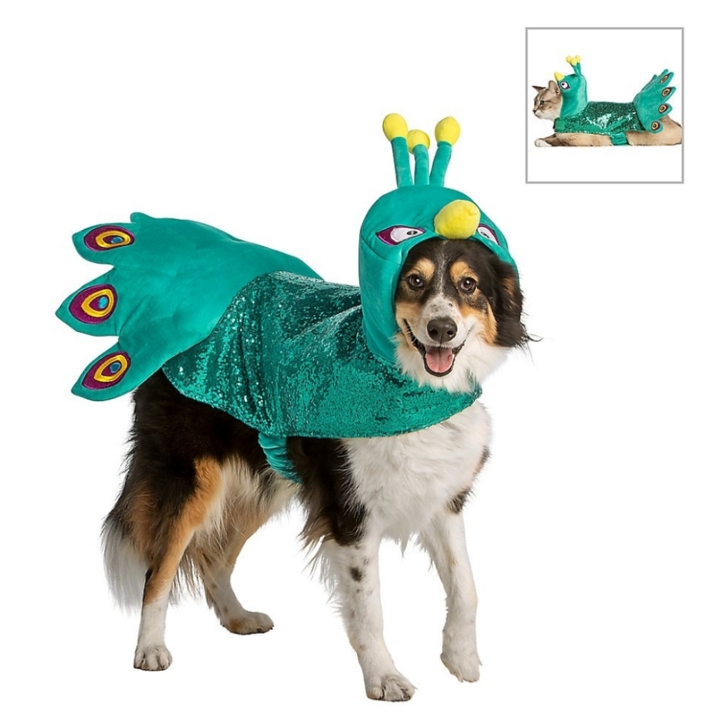 Thrills And Chills Peacock Dog Costume Size XS